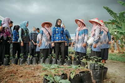 Pemprov Wujudkan Program Hunian Hijau Masyarakat di Lampung Selatan