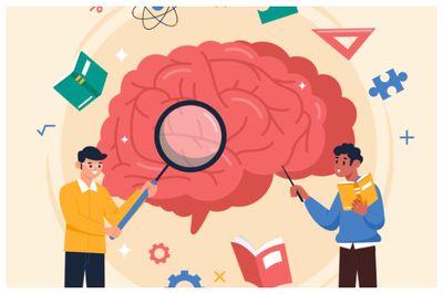 Apakah Benar Anak Sulung Cenderung Punya IQ Lebih Tinggi? Ini Penjelasan Menurut Studi