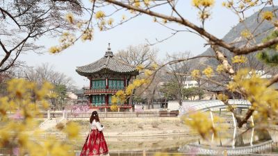 Kuil Korea Selatan Selenggarakan Program Liburan Spiritual Tanpa Teknologi untuk Anak-anak