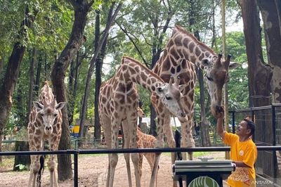 Ratusan Petugas Gabungan Amankan Taman Margasatwa Ragunan Selama Nataru