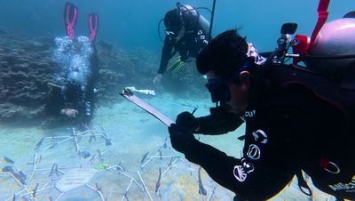 Libur Semester, Mahasiswa Itera Turun ke Laut Pulihkan Terumbu Karang Pulau Pahawang