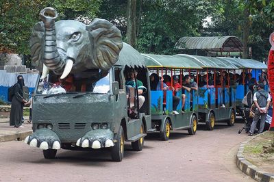 50 Ribu Wisatawan Kunjungi Taman Margasatwa Ragunan di Libur Natal 2025