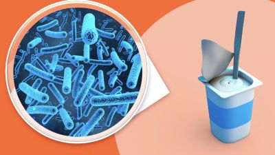 Bakteri Pembersih Plastik: Solusi Terobosan untuk Pencemaran Lingkungan