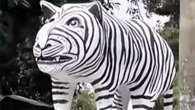 Fenomena Patung Macan Putih di Kediri: Daya Tarik Unik yang Viral di Media Sosial