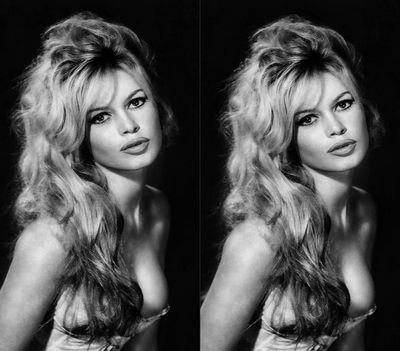 Aktris Legendaris Prancis Brigitte Bardot Meninggal Dunia di Usia 91 Tahun