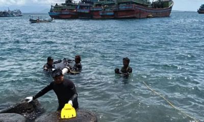 Mengintip Cara Petugas Balai Besar KSDA Jawa Timur Mengawal Transplantasi Karang Hias di Selat Bali