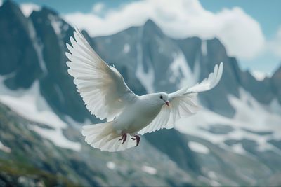 5 Arti Mimpi Melihat Burung Merpati Menurut Islam, Pertanda Baik?