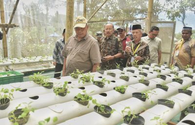 Telan Anggaran Rp 250 Juta, Sleman Soft Launching Taman Ketahanan Pangan Semar Ndalil di Girikerto