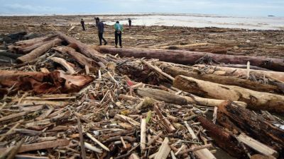 Penyelidikan Bareskrim Polri Terkait Kasus Gelondongan Kayu di Aceh Tamiang
