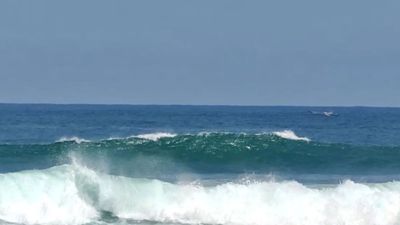 Gelombang Laut Berpeluang Capai Enam Meter, BMKG Keluarkan Peringatan Dini