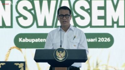 Optimisme Ekspor Beras 2026: Kunci dari Serapan Bulog