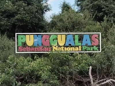 Fakta di Balik Desa Punggualas Kalimantan: Kampung Tanpa Sinyal di Tengah Hutan: