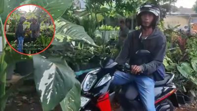 Ketahuan Polisi Saat Lawan Arah, Aksi Bapak Ini Beli Kembang di Pinggir Jalan Bikin Heboh
