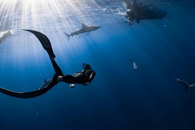 Mengenal Freediving: Olahraga Ekstrem yang Bikin Kamu Dekat dengan Laut