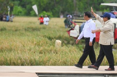 Capai Swasembada Pangan, Ini Data Terbaru Produksi Beras Nasional Indonesia