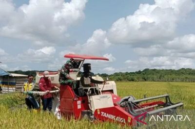 Bangka Selatan Awali 2026 dengan Panen Perdana Program Mandiri Benih