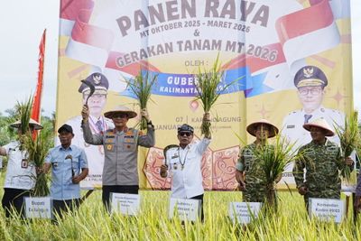 Panen Padi Capai Target, Komitmen Penuh Pemerintah Mendukung Swasembada Pangan Nasional