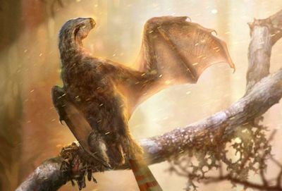 Mengenal Ambopteryx Longibrachium: Spesies Dinosaurus Kecil Bersayap Kelalawar yang Ditemukan di China
