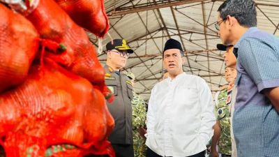 Penyitaan Besar-Besaran Bawang Bombai Ilegal oleh Kementan di Semarang
