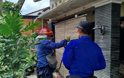 Geger Ular Sawo Sepanjang 1 Meter di Perumahan Warga Bantul