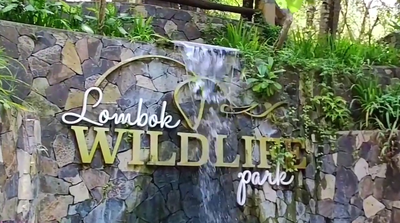 Wisata Edukasi di Lombok Wildlife Park, Liburan Seru Sambil Belajar Satwa