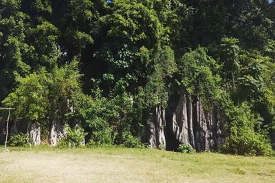 Tempat Angker di Gorontalo dan Kisah di Baliknya: Ada yang Pernah Dijadikan Film