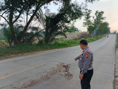 Nyalip di Turunan Curam Muara Basung, Pengendara Motor Asal Rohil Tewas di Jalan Lintas Duri–Pekanbaru