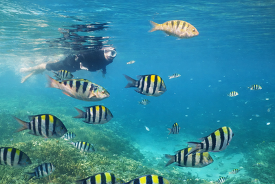 3 Spot Snorkeling Terbaik di Lombok yang Wajib Kamu Coba