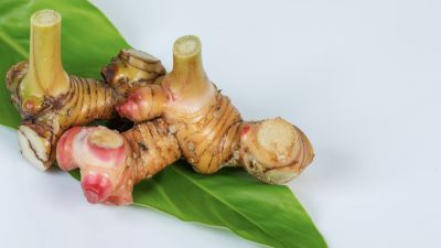Keajaiban Lengkuas: Bumbu Multifungsi untuk Pencernaan Sehat