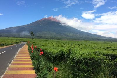 Pembersihan Jalur dan Ritual Adat, Pendakian Gunung Kerinci Masih Ditutup untuk Umum