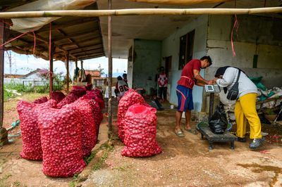 Petani menimbang bawang merah panen di Cimenyan, Kabupaten Bandung, Jawa Barat, Senin (19 1 2026). - Foto oleh ANTARA FOTO Raisan Al Farisi