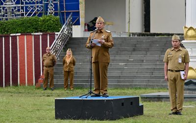 Pemprov Lampung Sebut Ribuan Desa di Lampung Kini Lebih Maju dan Mandiri