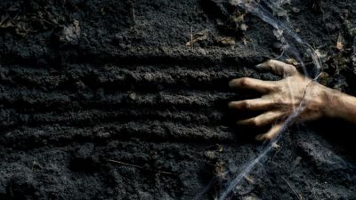 Misteri Rawa Sari: Sejarah dan Kejadian Aneh yang Menghantui