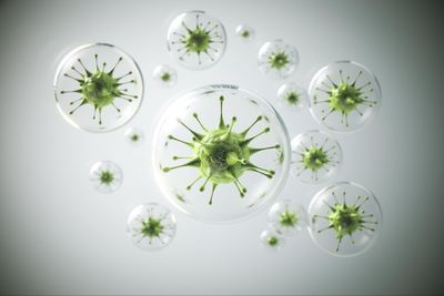 Mengenal Cereulide, Toksin Berbahaya dari Bakteri Bacillus Cereus
