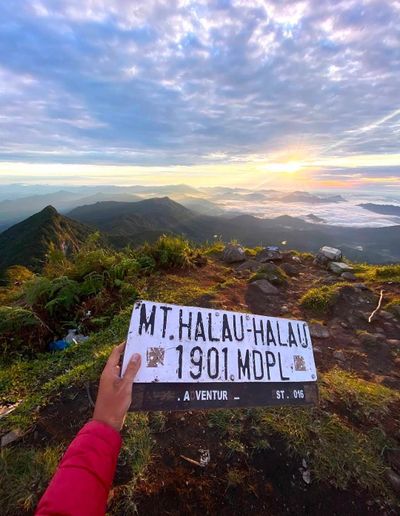 Gunung Halau-Halau: Lokasi, Jalur Pendakian, dan Pesona Puncak Tertinggi Kalsel