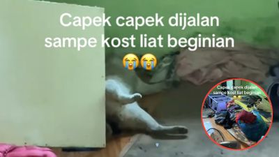 Ditinggal Liburan Kuliah Sebulan, Kamar Kos Mahasiswi Ini Berantakan dan Ada Bangkai Kucing