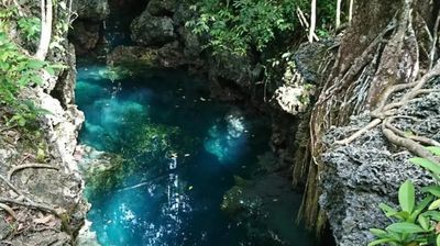 Intip Pesona Goa Halo Tabung, Rekomendasi Wisata Gratis dengan Air Sebening Kaca di Maratua