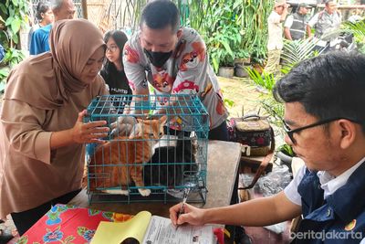 Vaksinasi Rabies Gratis Jakarta Selatan: 185 Hewan di Ulujami Disuntik Demi Pertahankan Kota Bebas Rabies
