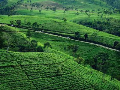 7 Tempat Wisata Kemuning Karanganyar yang Instagramable dan Wajib Dikunjungi saat Liburan