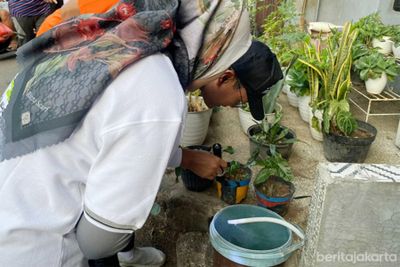 Kasus DBD Mulai Naik, Dinkes DKI Jakarta Perketat Pengawasan Jentik di Musim Hujan