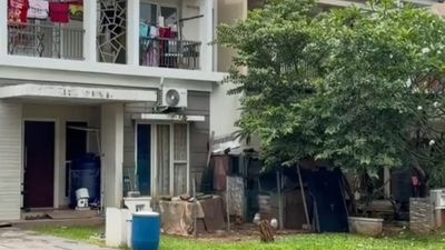 Bikin Heran, Warga Perumahan Elite Pelihara Ayam di Pekarangan Depan Bak Kebun Binatang