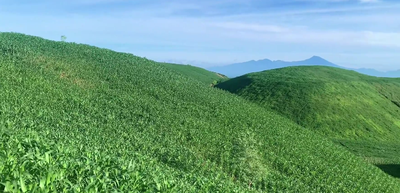 Camping Seru di Bukit Teletubbies dan Pantai Kura-Kura Ekas Lombok Timur