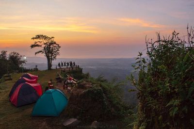 Alternatif Healing di Bali, Ini Rekomendasi Tempat Camping Seru dengan Panorama Alam yang Menawan