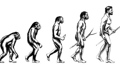 Evolusi dan Adaptasi: Pemahaman Ilmiah yang Berakar dari Penelitian Darwin