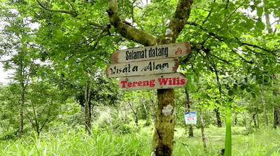 Tereng Wilis Camping Ground, Sensasi Kemping Tenang di Tengah Hutan dan Sungai Lombok Timur