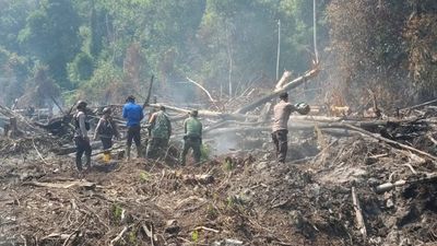 Karhutla Aceh Selatan Meluas: 30 Hektare Lahan Gambut Terbakar