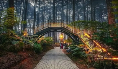 Rekomendasi Beberapa Tempat Wisata Unik yang Ada Di Jambi