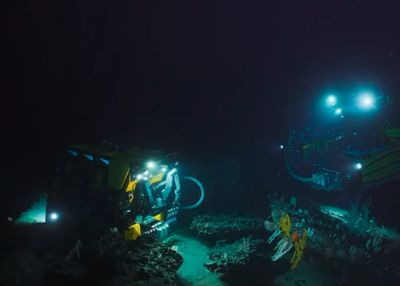 BRIN dan OceanX Temukan 14 Spesies Megafauna Laut di Sulawesi Utara