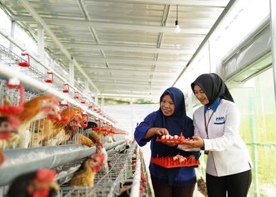 Ketahanan Pangan Berbasis Komunitas, Strategi PNM Perkuat Gizi Masyarakat
