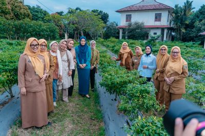 Pemanfaatan Pekarangan Produktif, PKK Agro Park Lampung Panen Anggur dan Melon